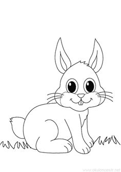 a rabbit sitting in the grass with big eyes on it's face and ears