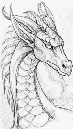 a drawing of a dragon's head with its eyes closed and the tail curled up