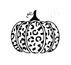 a black and white pumpkin with leopard print