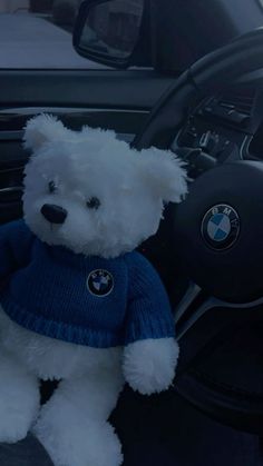 a white teddy bear wearing a blue sweater sitting in the driver's seat of a car