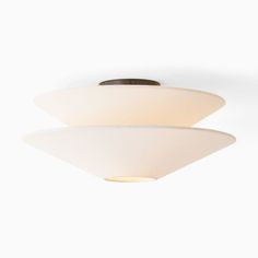 two light ceiling fixture with white glass shades