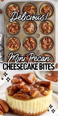 mini pecan cheesecake bites with caramel toppings and the title below reads delicious mini pecan cheesecake bites