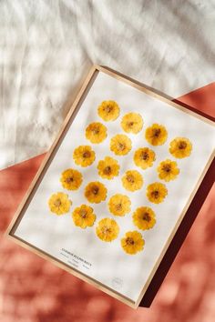 a bunch of yellow flowers are arranged in a square frame on a red and white background