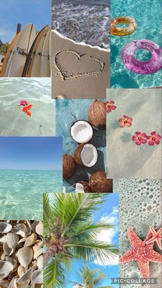 a collage of different pictures including coconuts, shells and starfish on the beach