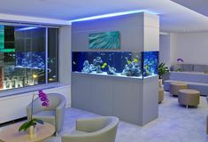 a fish tank in the middle of a living room