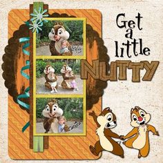 the chipmuns are posing for a picture in their nutty photobook cover