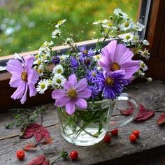 purple and white flowers in a glass mug on a window sill with autumn leaves