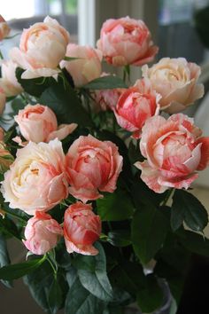 a vase filled with pink and white flowers on top of a table next to a window