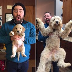 two men holding puppies in their arms while standing in the kitchen and on the counter