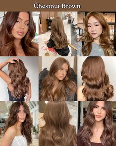 Chestnut Brown Aesthetic, Chestnut Brown Hair Board. Brown Hair Types, Different Types Of Brown Hair Color, Brown Hair Chestnut, Light Brown Chestnut Hair, Chestnut Hair Color Light, Types Of Brown Hair Dye, Hair Colour Tan Skin, Sepia Hair Color, Type Of Brown Hair Shades