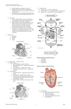 diagram of the heart and its major vessels