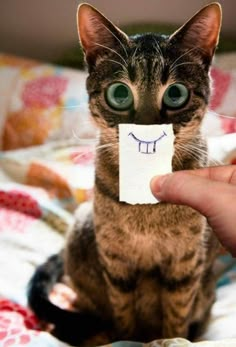 a cat is holding a piece of paper with a smiley face drawn on it