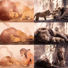 the lion king and his cubs are depicted in four separate pictures, each with different expressions