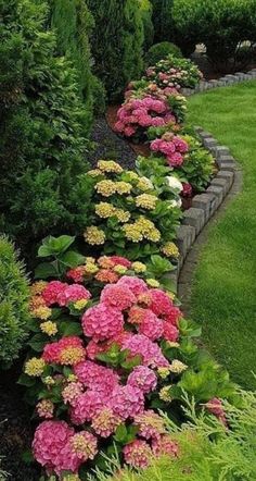 some pink and yellow flowers in a garden