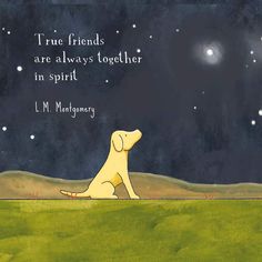 a yellow dog sitting on top of a green field under a night sky with stars and the words true friends are always together in spirit