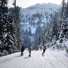 three snowboarders are going down a snowy mountain trail in the mountainside area