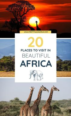 two giraffes standing next to each other with the words 20 places to visit in beautiful africa