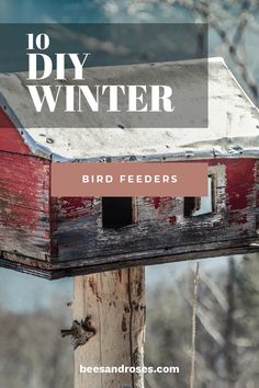 a bird house with the words 10 diy winter bird feeders on it's side