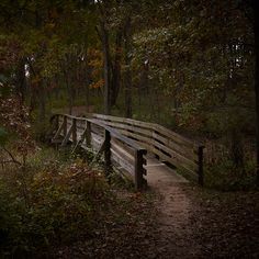 a wooden bridge in the middle of a forest with trees and leaves on both sides