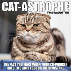 a cat sitting on top of a table next to a blue sign that says, cat - astropher the face you make when your co - worker tries to flame you for their mistake