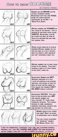 Drawing Female Body, Anatomy Tutorial, Human Anatomy Drawing, Human Anatomy Art, Anatomy Sketches, 캐릭터 드로잉