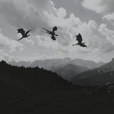 three flying dragon silhouettes against a cloudy sky over a mountain range with mountains in the background