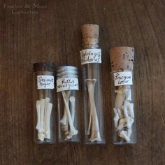 three bottles filled with different types of bones