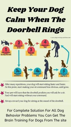 a poster with instructions on how to keep your dog calm when the door bell rings