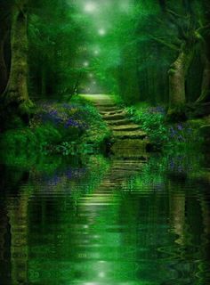 a green forest with stairs leading up to the water