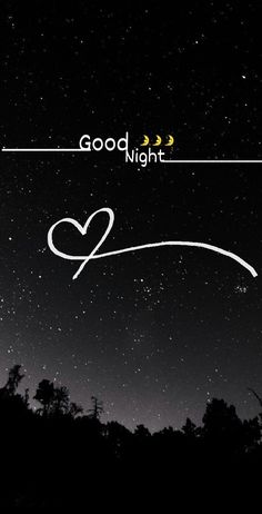 the words good night are written in white on a black background with trees and stars