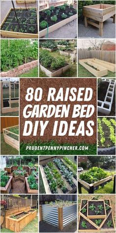 the best diy raised garden beds for small gardens and backyards with text overlay that reads,'80 best diy raised garden beds '