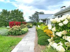 white flowers line the side of a house in front of green grass and shrubs on either side