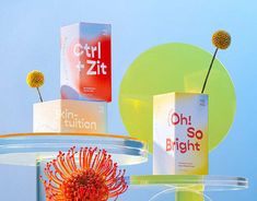 an assortment of items displayed on pedestals with blue sky in the backround