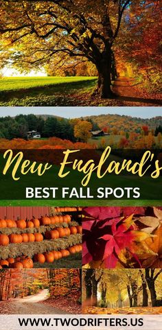 the new england's best fall spots with pumpkins and trees in autumn colors