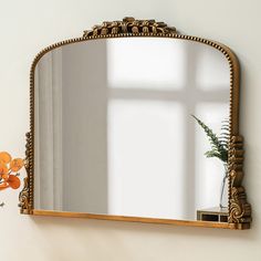 a mirror sitting on top of a wall next to a vase with a plant in it