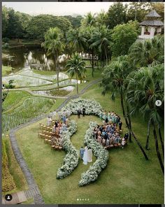 an aerial view of a wedding ceremony in the middle of a lush green field with palm trees