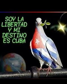 a colorful bird sitting on top of a metal pipe with the words soy la libertad y mi destinoo es cuba