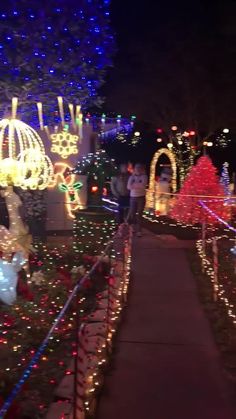 christmas lights are on display at the park