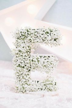 the letter e is made up of small white flowers