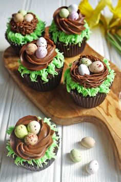 cupcakes decorated with green icing and chocolate eggs in the shape of nests