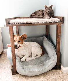 a dog and cat laying on top of a pet bed in the corner of a room