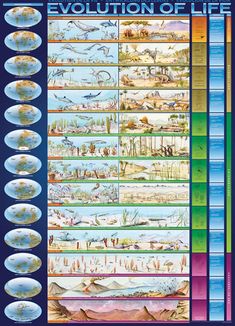 an image of the evolution of life poster with different types of animals and their habitats