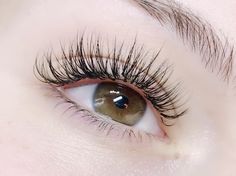 Lash Extensions Classic, Grow Eyelashes, Eyelash Extension Makeup, Semi Permanent Lashes, Lash Extentions, How To Grow Eyelashes, Makeup Steps, Perfect Eyelashes, Natural Eyelash Extensions