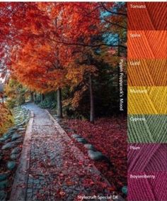 the color scheme for an autumn scene with red, orange and yellow leaves on the ground