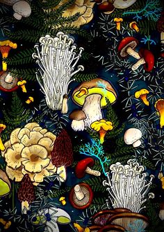 a painting of mushrooms and plants on a black background