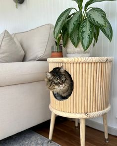 a cat sitting in a basket on top of a wooden table next to a couch