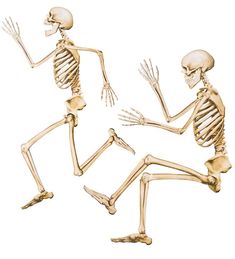 three skeletons are dancing in the air with their arms and legs spread out to each other