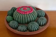 a bowl filled with lots of green and pink cactus plants sitting on top of a wooden table