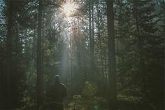 a person walking through the woods towards the sun