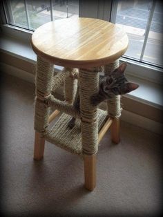 a cat sitting on top of a wooden stool in front of a window next to a cat tree